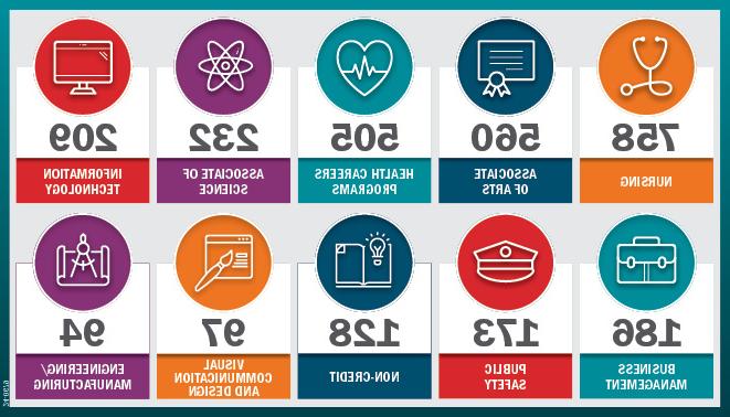 The numbers of students in each of the 10 most popular majors, as listed in the caption. 